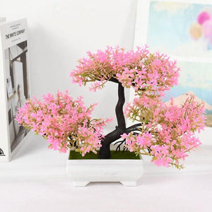 Bonsai Tree
