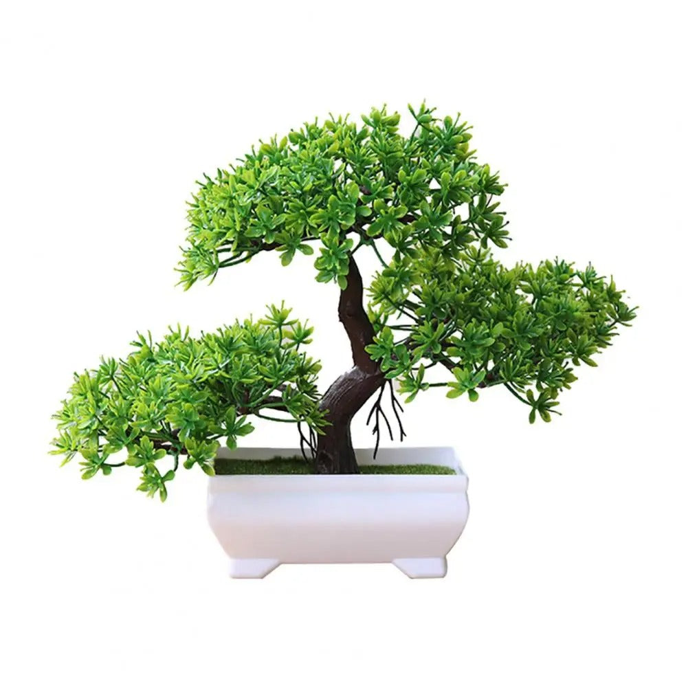 Bonsai Tree