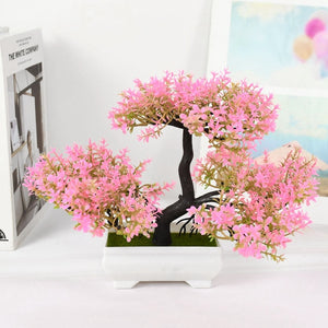 Bonsai Tree