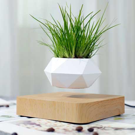 Floating Plant Pot