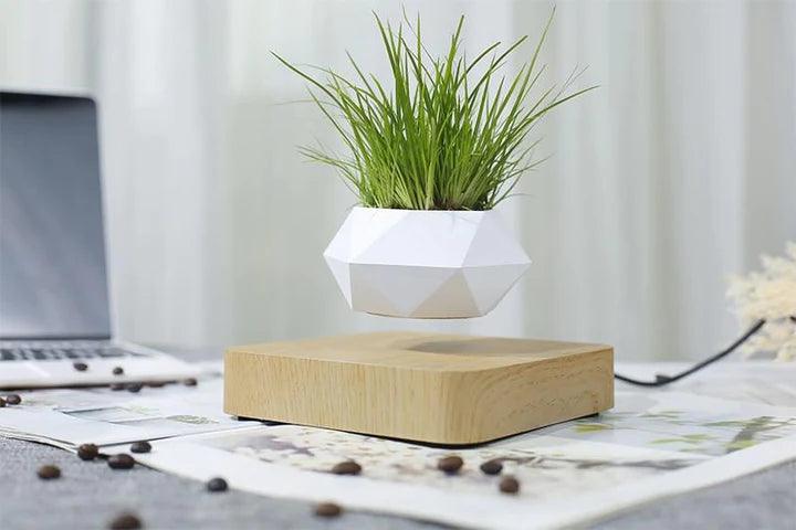 Floating Plant Pot