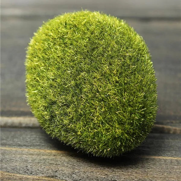 Decorative Moss Stones