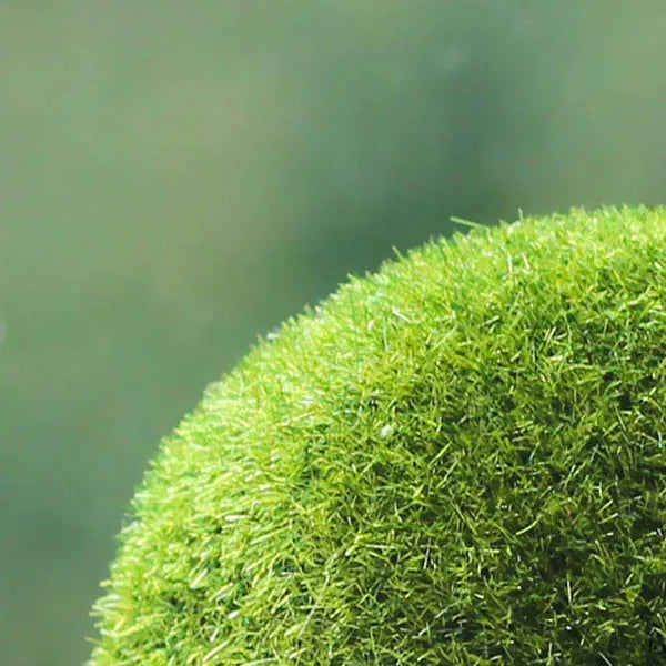 Decorative Moss Stones