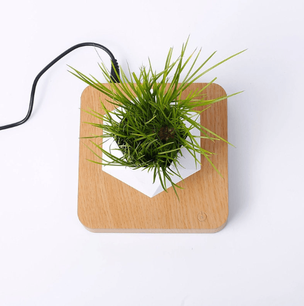 Floating Plant Pot